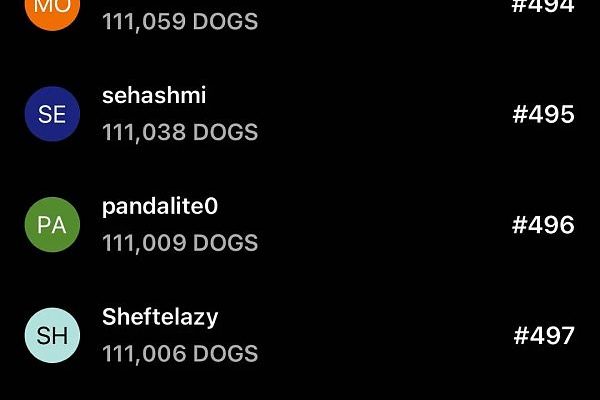 两天订阅人数破250万：DOGS 空投却可能不值一顿猪脚饭缩略图