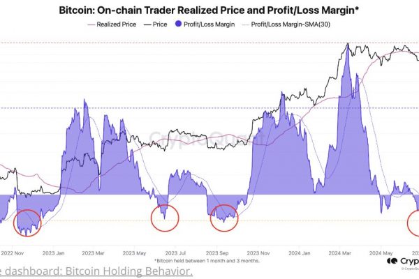 比特币链上交易者亏损率达-17%，系FTX崩溃以来最低水平缩略图
