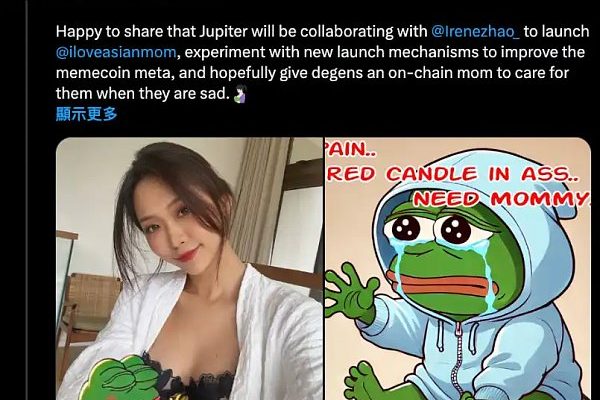 Jupiter 合作 Irene Zhao 推迷因币 侦探曝诈骗黑历史缩略图